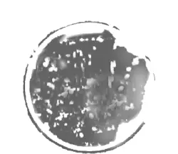 Особенности винтажный эффект